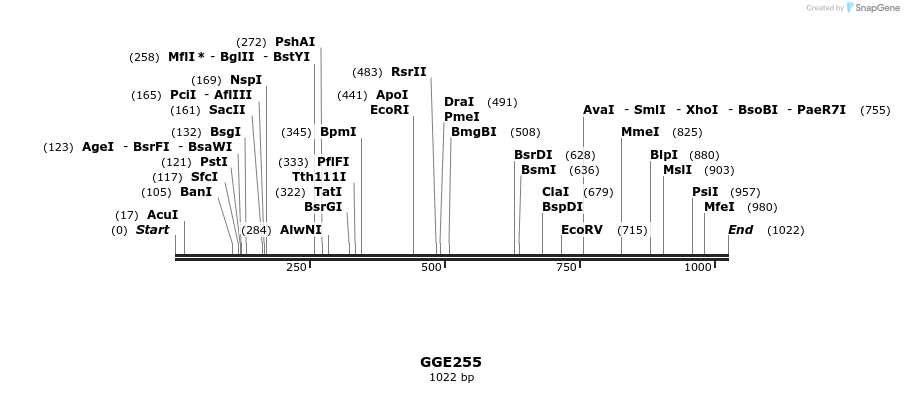 229398_map