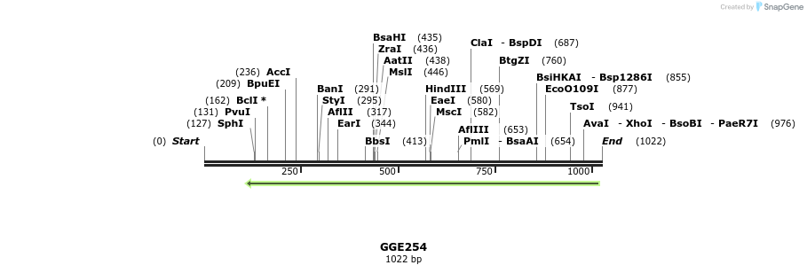 229399_map