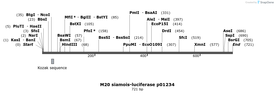 22940_map