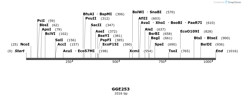 229400_map