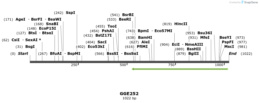 229401_map