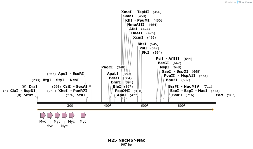 22942_map