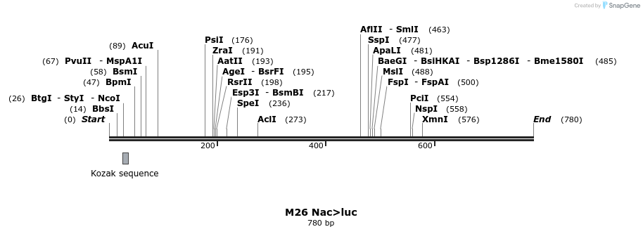 22943_map