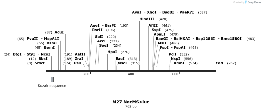 22944_map
