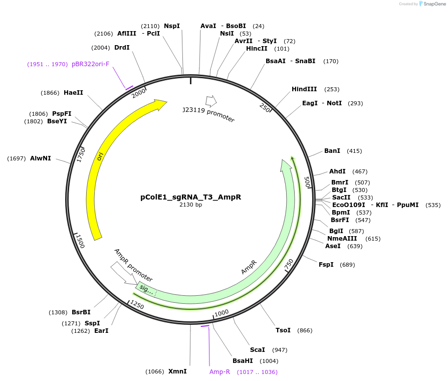 229450_map