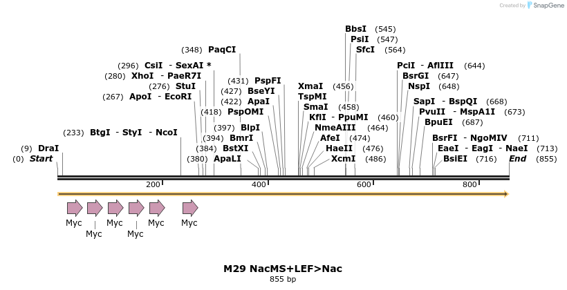 22946_map