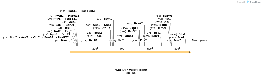 22949_map