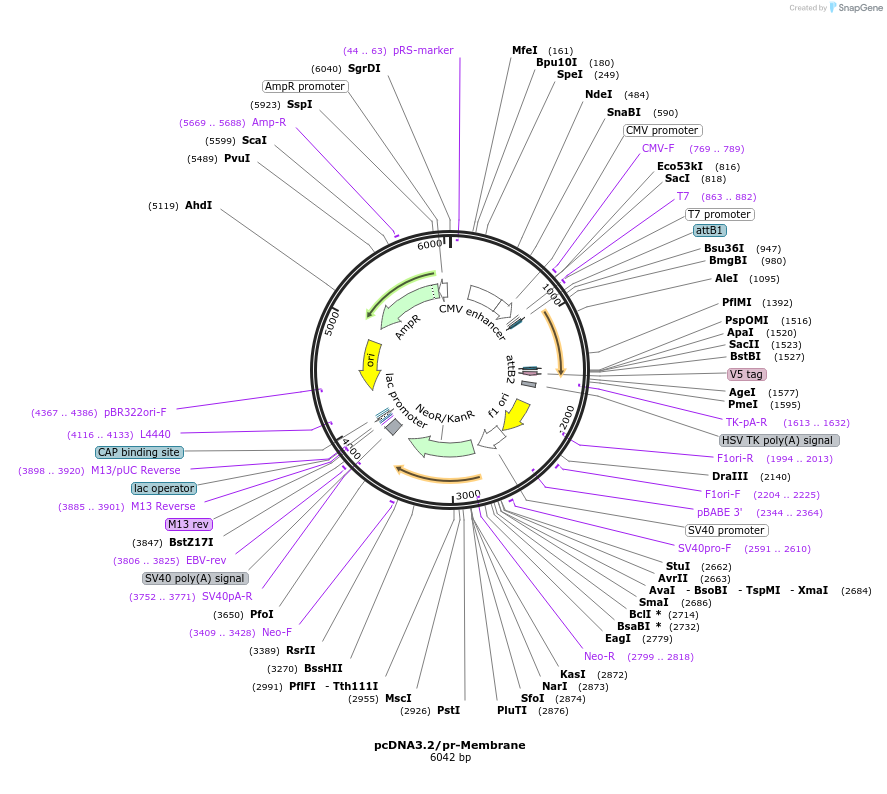 229588_map
