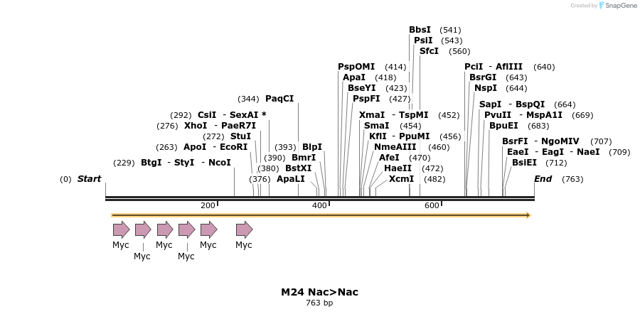 22959_map