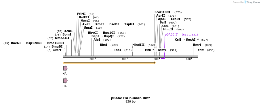 22960_map