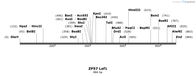 22961_map