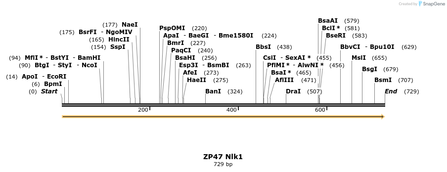22962_map