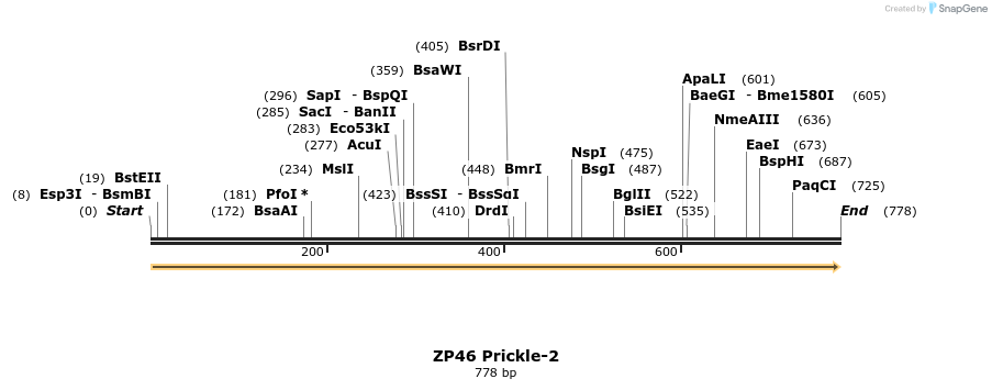 22963_map