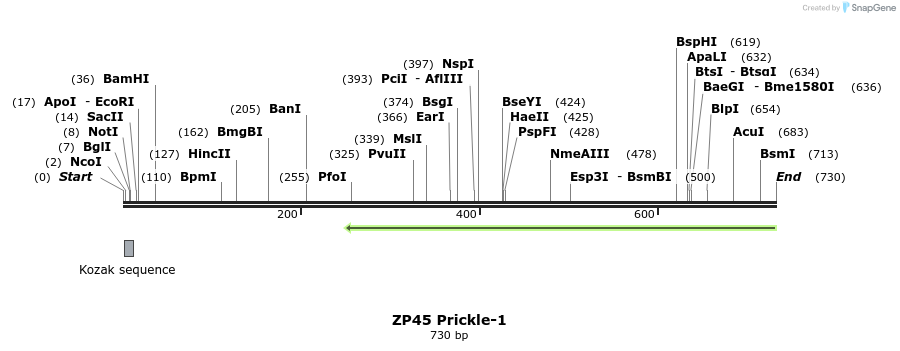 22964_map