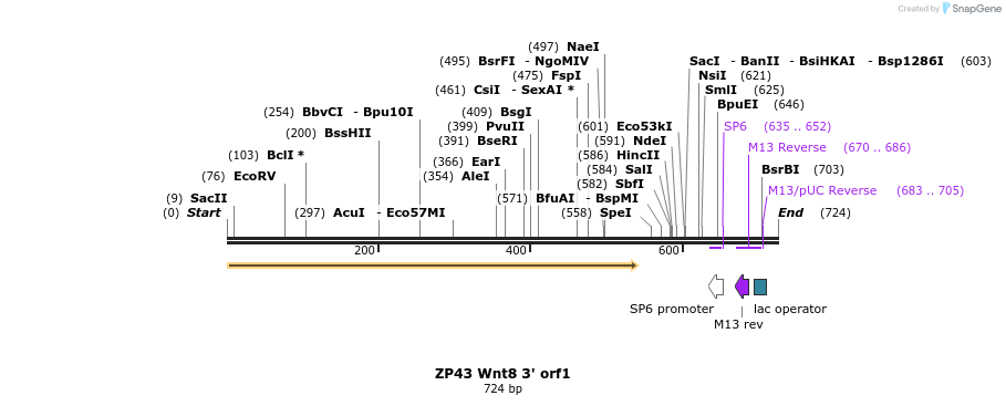 22966_map