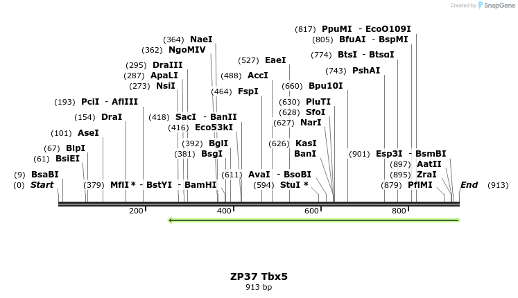 22969_map
