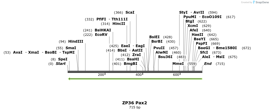 22970_map
