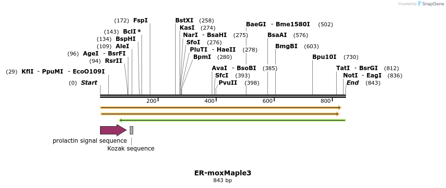 229701_map