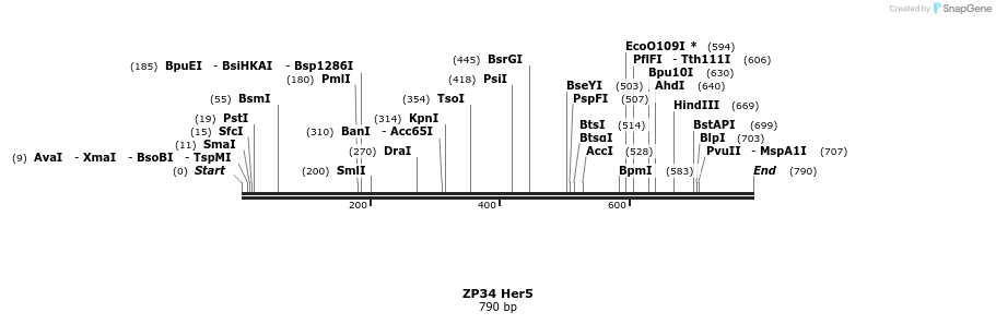 22971_map