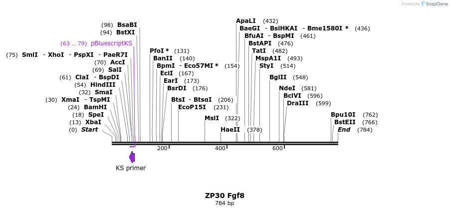 22972_map