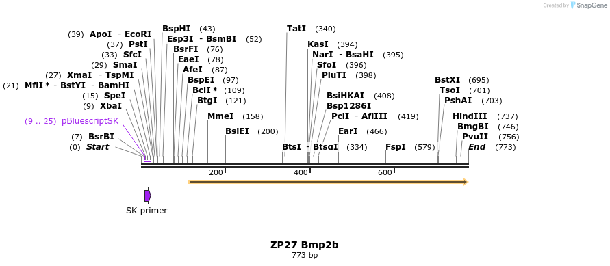 22973_map