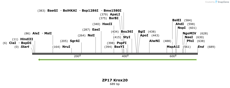22974_map