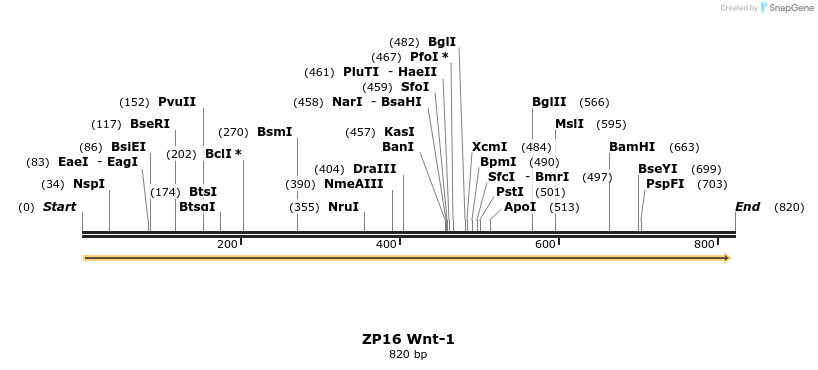 22975_map