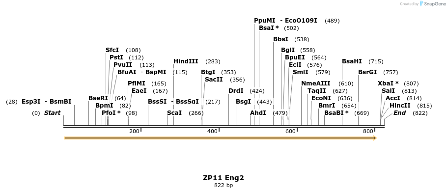 22976_map