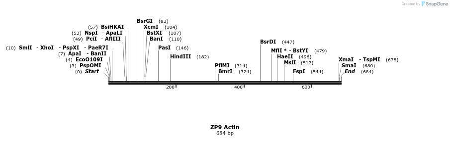22978_map