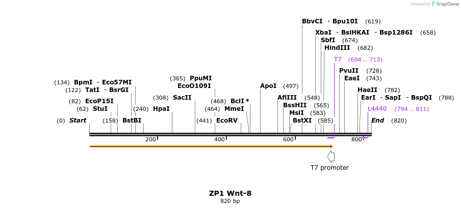 22979_map