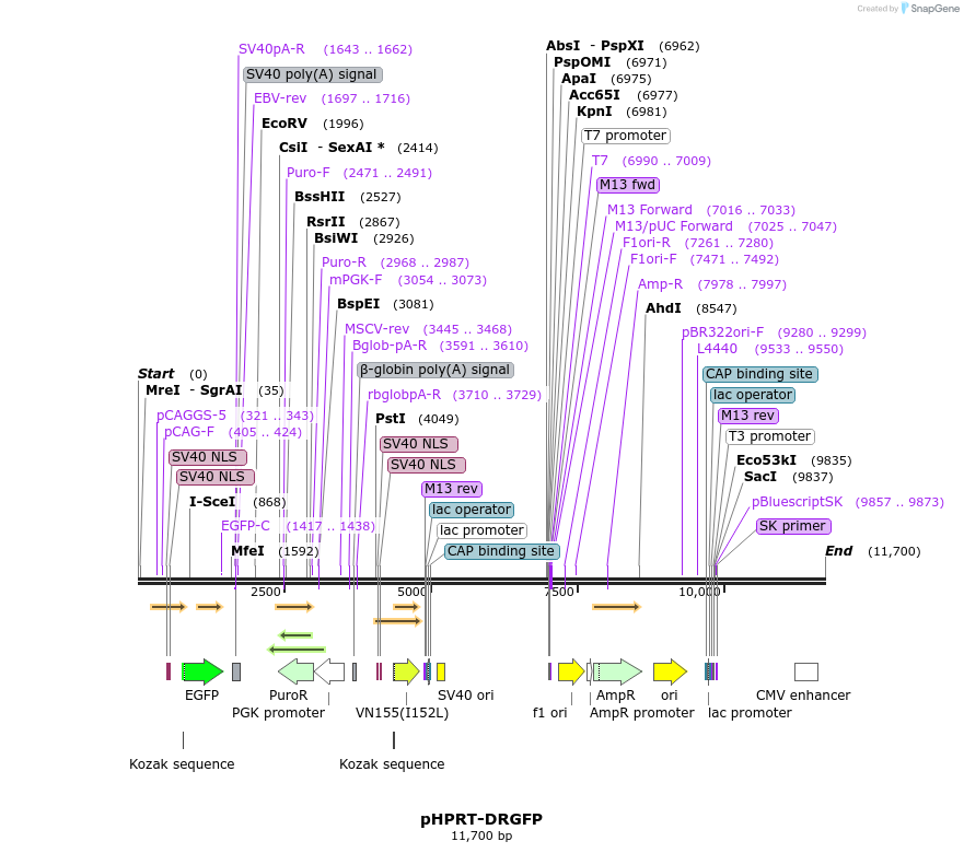 229791_map