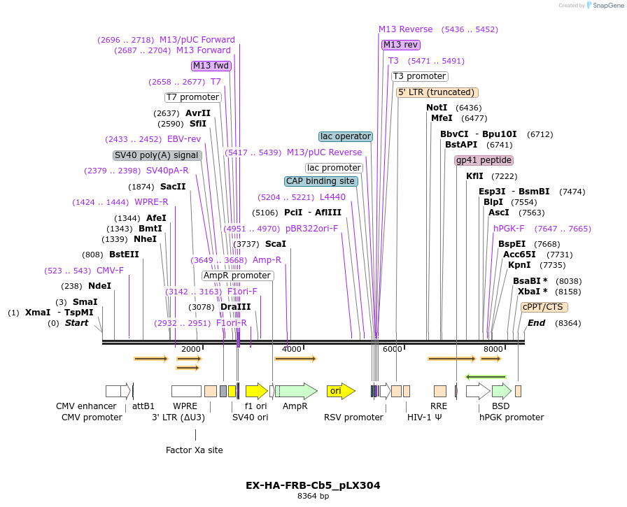 229801_map