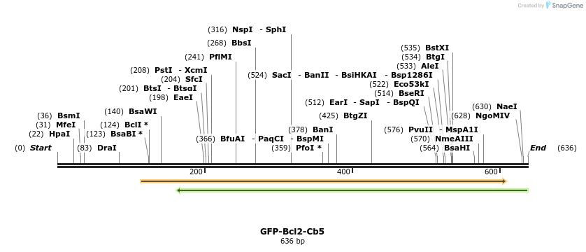 22984_map