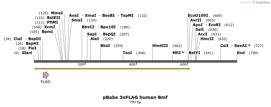 22990_map