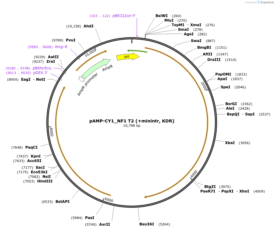 229901_map