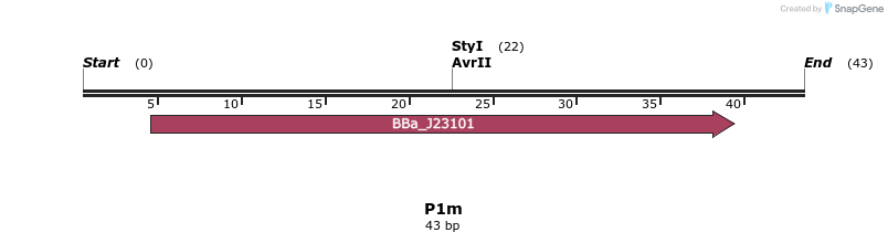 229922_map