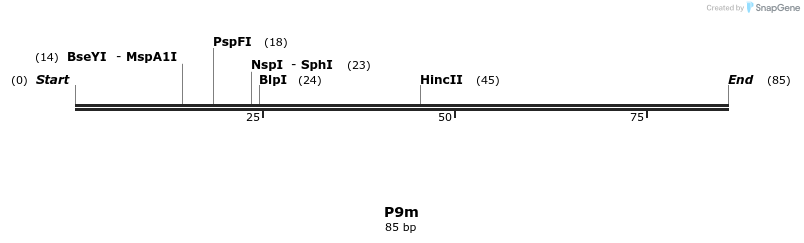 229928_map