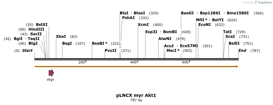22993_map