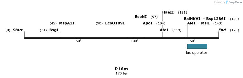 229934_map