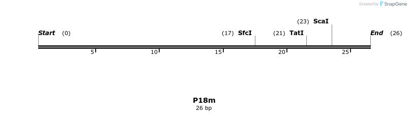 229936_map