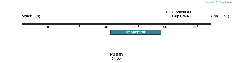 229938_map
