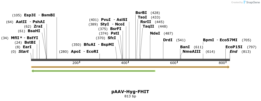 22994_map