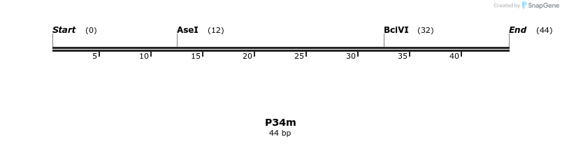 229944_map