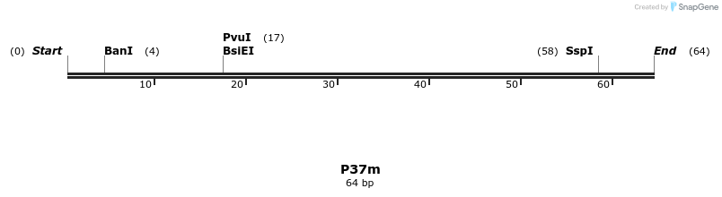229948_map