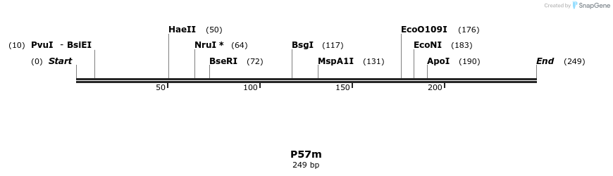 229952_map