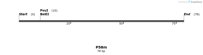 229954_map