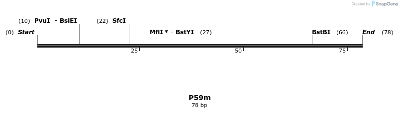 229956_map