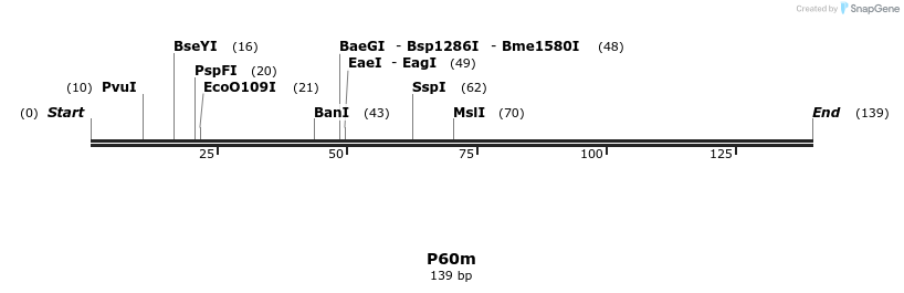 229958_map
