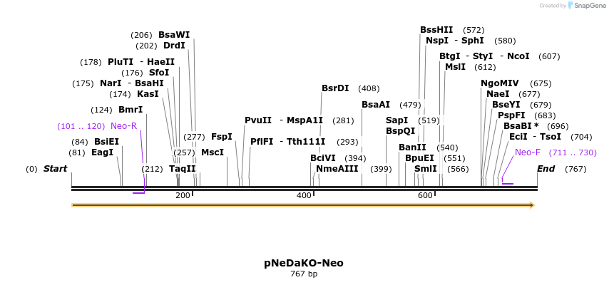 22996_map