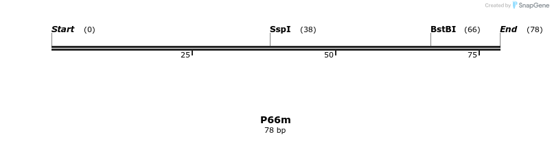 229962_map